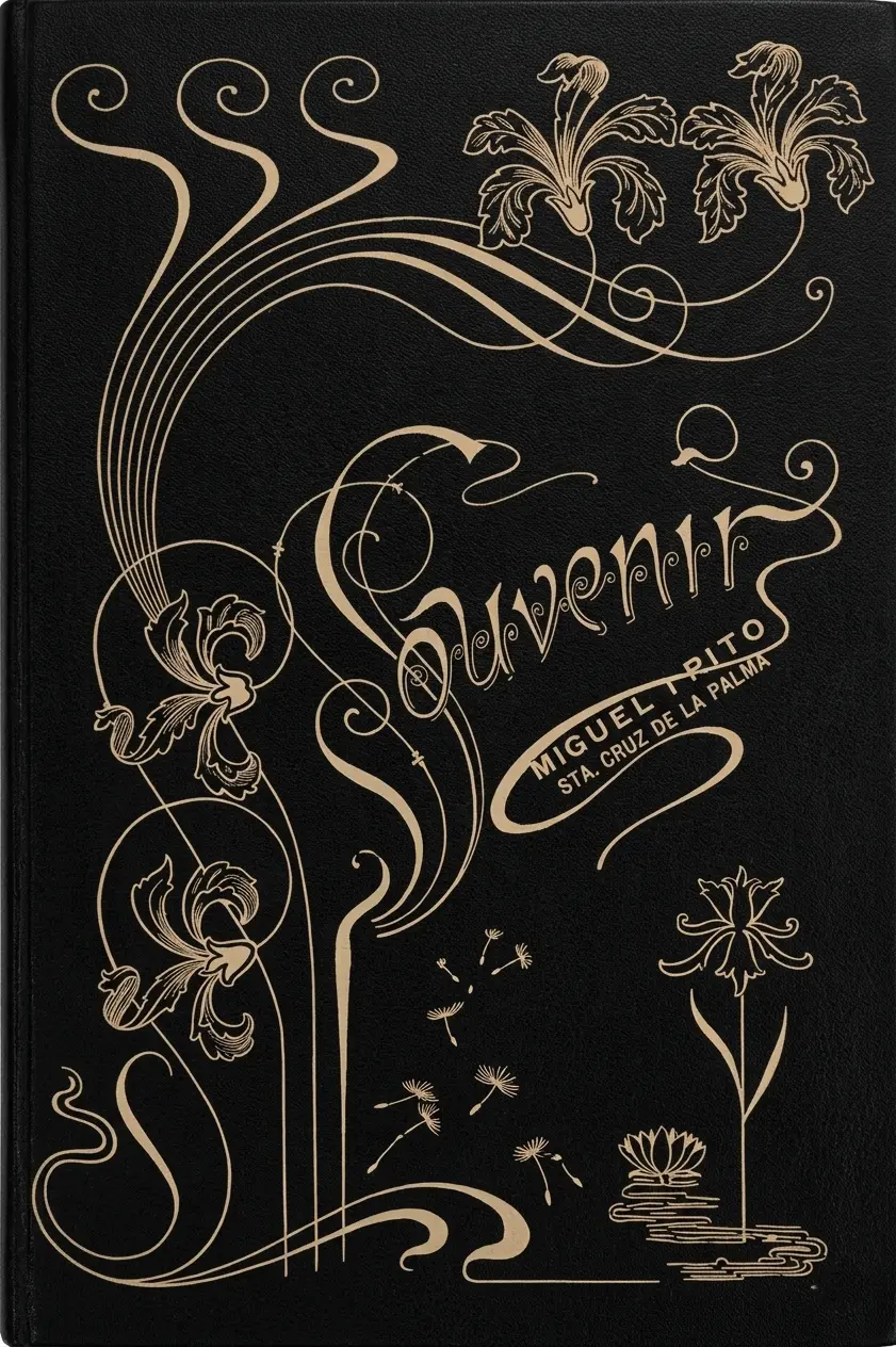 Publicidad Miguel Brito Rodríguez